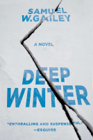 book cover for Deep Winter