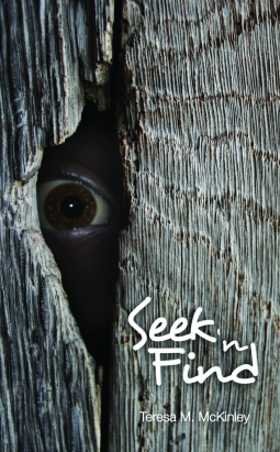 book cover for Seek 'N Find