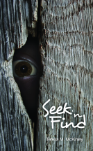 book cover for Seek 'N Find