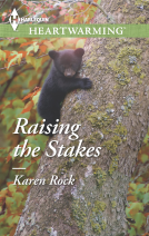 book cover for Raising the Stakes