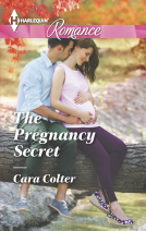 book cover for The Pregnancy Secret