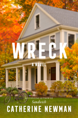 book cover for Wreck