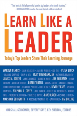 book cover for Learn Like A Leader