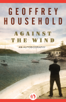 book cover for Against the Wind