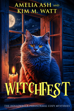 book cover for Witchfest