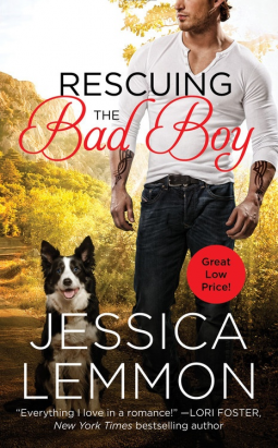 book cover for Rescuing the Bad Boy
