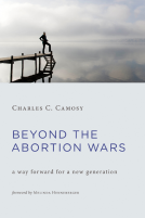 book cover for Beyond the Abortion Wars