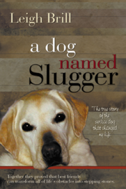 book cover for A Dog Named Slugger