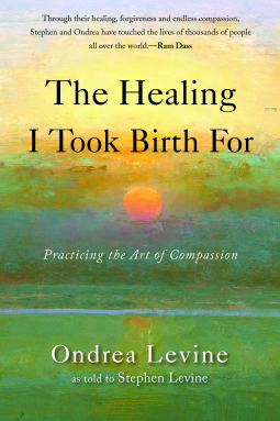 book cover for The Healing I Took Birth For