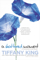 book cover for A Shattered Moment