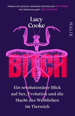 Buchcover für Bitch – Ein revolutionärer Blick auf Sex, Evolution und die Macht des Weiblichen im Tierreich