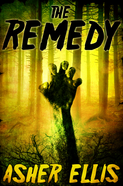 book cover for The Remedy