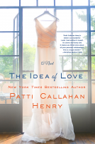 book cover for The Idea of Love