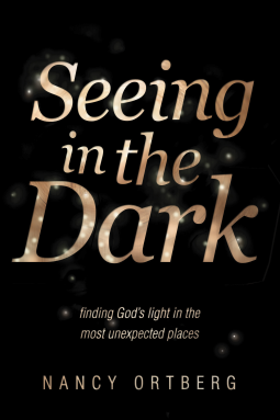 book cover for Seeing in the Dark