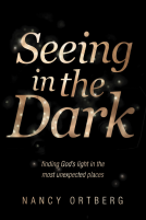 book cover for Seeing in the Dark