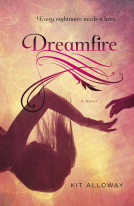 book cover for Dreamfire