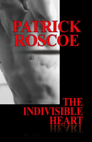 book cover for The Indivisible Heart