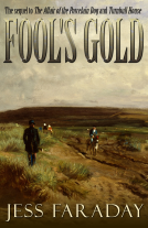 book cover for Fool's Gold