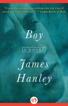 book cover for Boy