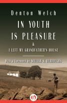 book cover for In Youth is Pleasure