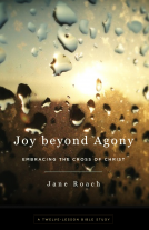 book cover for Joy beyond Agony