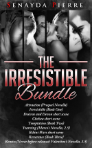 book cover for The Irresistible Bundle