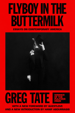 book cover for Flyboy in the Buttermilk