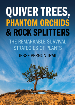 book cover for Quiver Trees, Phantom Orchids and Rock Splitters