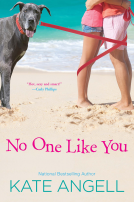 book cover for No One Like You