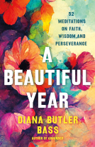 book cover for A Beautiful Year