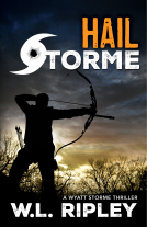 book cover for Hail Storme