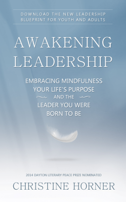 book cover for Awakening Leadership