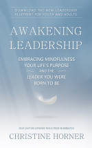 book cover for Awakening Leadership