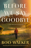book cover for Before We Say Goodbye
