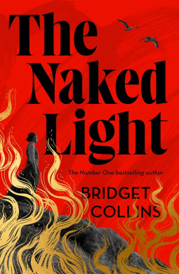 book cover for The Naked Light