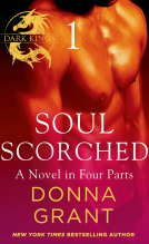 book cover for Soul Scorched: Part 1