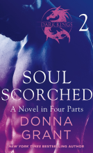 book cover for Soul Scorched: Part 2