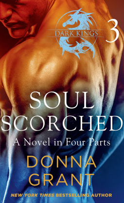 book cover for Soul Scorched: Part 3