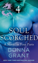 book cover for Soul Scorched: Part 4