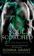 book cover for Soul Scorched