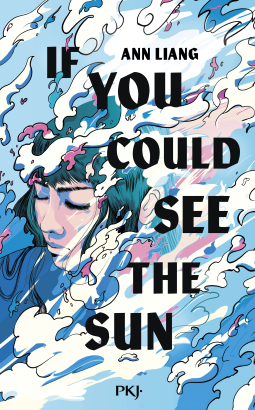 Couverture du livre pour If you could see the sun