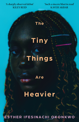 book cover for The Tiny Things Are Heavier