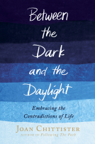 book cover for Between the Dark and the Daylight