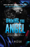 Cover Image: Owning You Angel