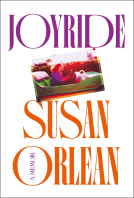 book cover for Joyride