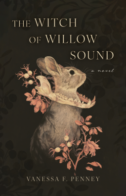 book cover for The Witch of Willow Sound
