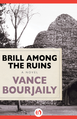 book cover for Brill Among the Ruins