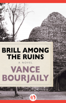 book cover for Brill Among the Ruins