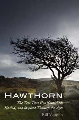 book cover for Hawthorn