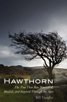 book cover for Hawthorn